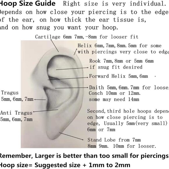 Unisex 20G Silver CZ Segment Hoop Nose & Cartilage Piercing Jewelry, Surgical St - Picture 6 of 6